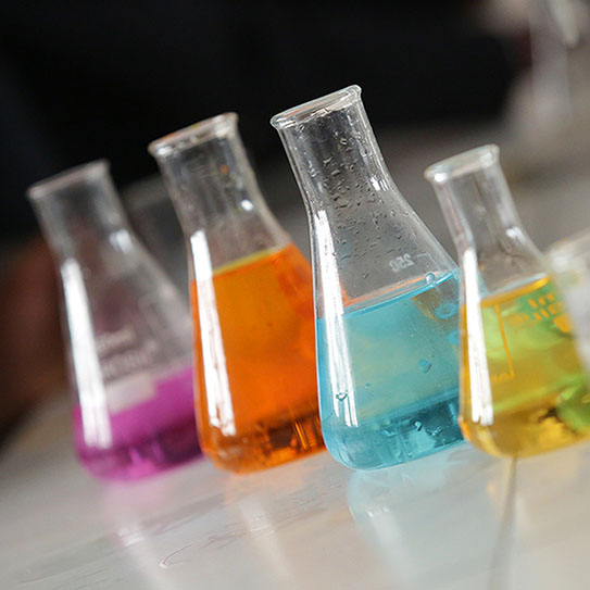 test tubes full of colorful liquid