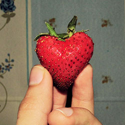 heart shaped strawberry